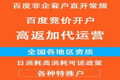 百度竞价公司成功案例：如何实现ROI最大化